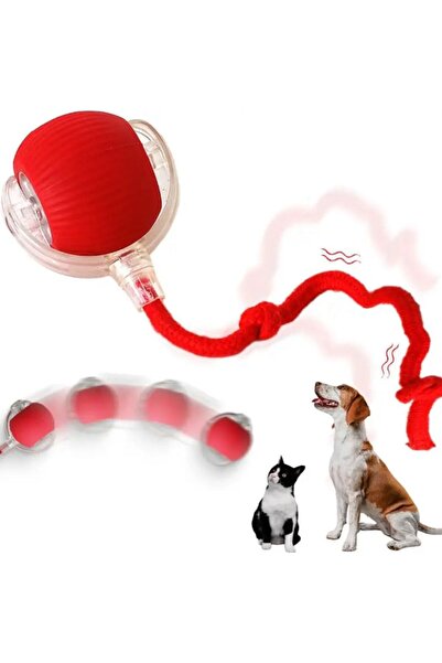 OEM Smart interactive toy for cats and dogs 1+1 FREE!