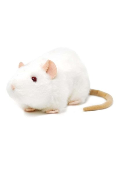 Generic Viahart Wylie The White Rat Soft Plush Toy for Kids | Huggable Stuffe...