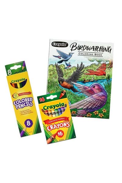 Generic Artists Essential Bundle, Pack of 3, Includes – Colored Pencils, Cray...