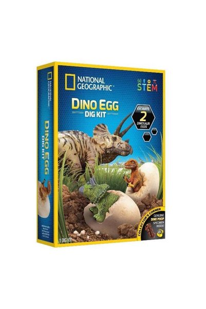 Generic Dino Egg Dig Kit