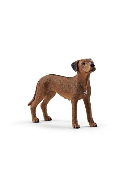 Generic Schleich Rhodesian Ridgeback Figure