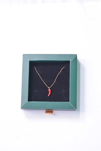 stainless steell Kırmızı Biber Kolye | Şans Uğuru Nazarlık Takı | Kadın Chili Charm Kolye