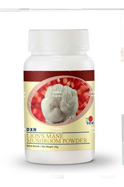 DXN Lion's Mane Mushroom Powder 30g