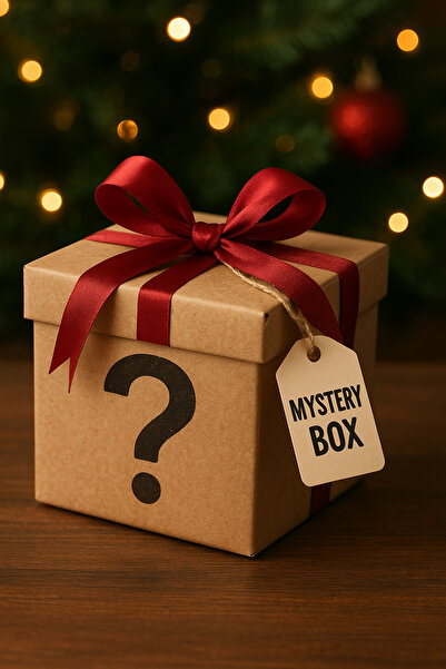 OEM Amazon Mystery Box Christmas Edition Return 3-5 New Products
