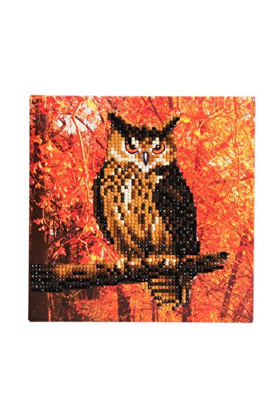 Craft Buddy Set creativ tablou cu cristale Autumn Owl 18x18cm,