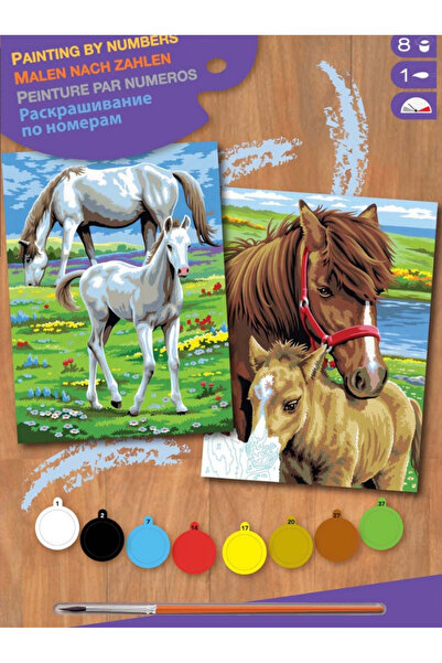 Sequin Art Set creativ de pictura pe numere - JPPBN - Cai,