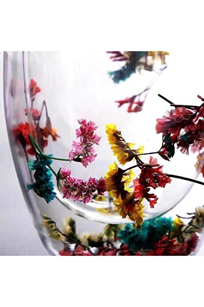 OEM Double Walled Glass Mug Dried Flowers