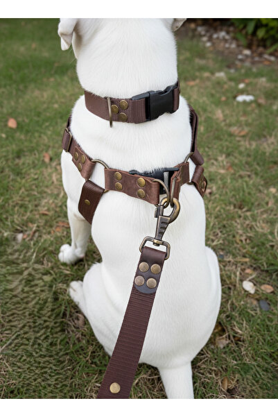 balkonda Dog Chest Harness, Adjustable Collar and Leash Set, 3-Piece Set, Dar...