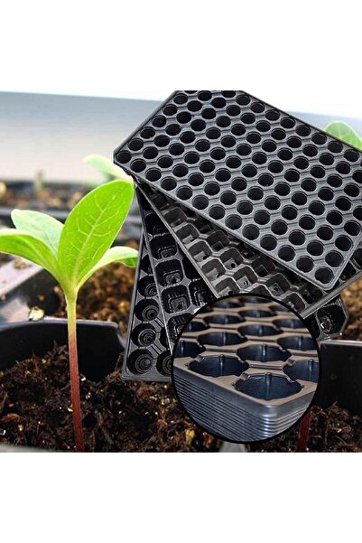 Sfmstore 10'lu Set 104 Göz Fide Viyolü Sebze Meyve Fide Yetiştirme Çimlendirm...