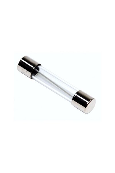 OEM Siguranta intarziere 5x20 mm Time-Lag Puschel 2.5A 250V