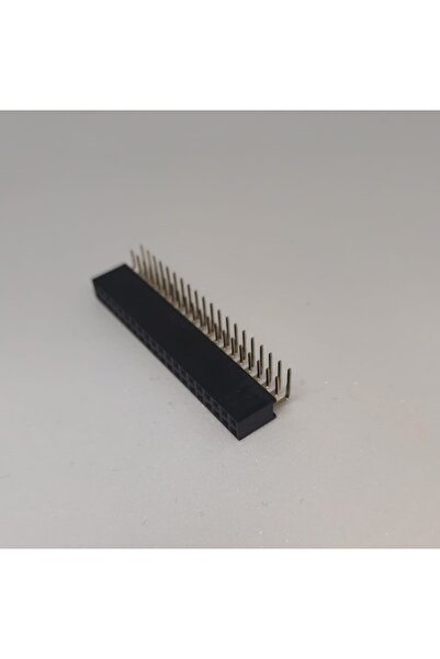 OEM Sir 2X20 pini mama intoarse