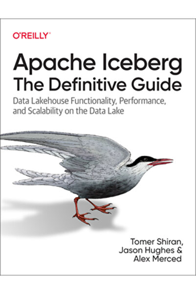 OReilly Media Apache Iceberg: Ghidul definitiv: Funcționalitatea Data Lakehou...