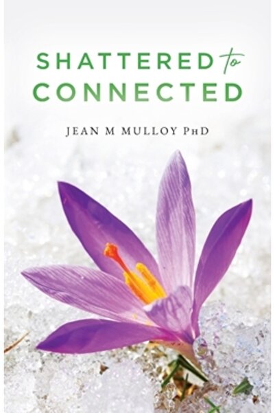 Vertel Pub De la sfărâmat la conectat