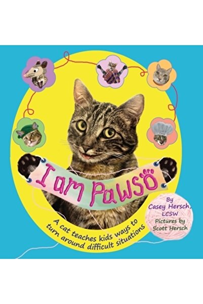 INDEPENDENT CAT Eu sunt Pawso: O pisică îi învață pe copii cum să rezolve sit...