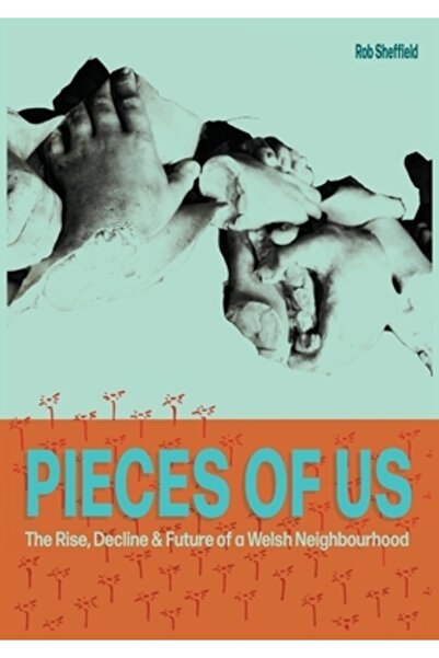 Cambria Books Bucăți din noi