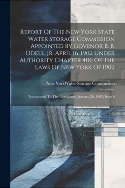Legare Street Pr Raportul Comisiei de Stocare a Apei din Statul New York, numit de guvernatorul B. B. Odell Jr., 16 aprilie