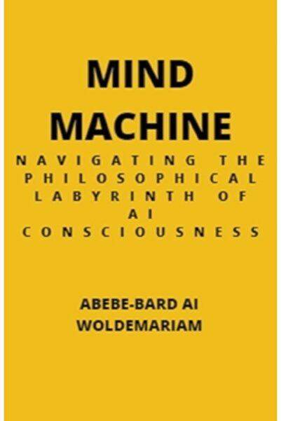 Massetti Pub Mașină mentală: Navigarea prin labirintul filosofic al conștiinț...