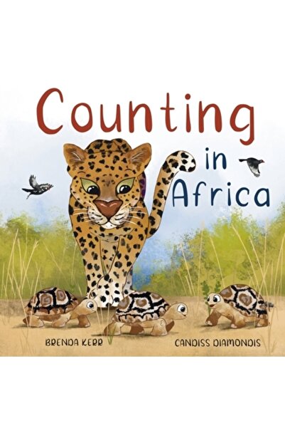 AMAZON DIGITAL SERV LLC Numărarea în Africa