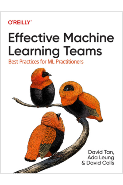 OReilly Media Echipe eficiente de învățare automată: Cele mai bune practici p...