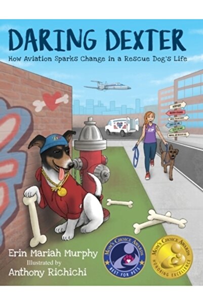 INDEPENDENT CAT Dexter Îndrăzneț: Cum schimbările inovatoare din aviație schi...