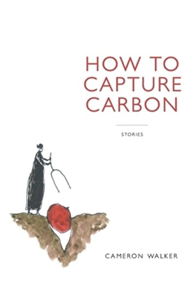 What Books Pr Cum să captezi povești despre carbon
