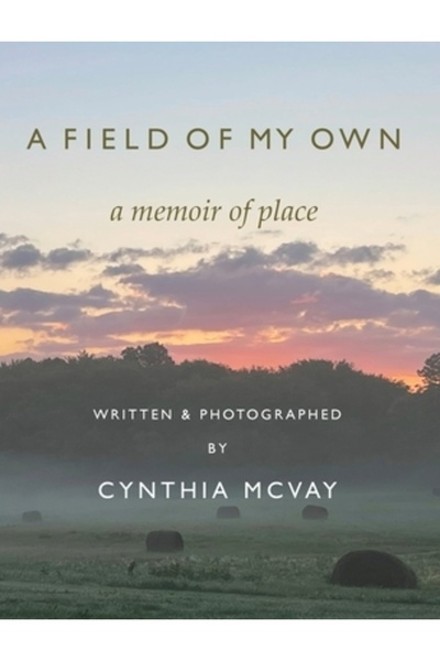 INDEPENDENT CAT Un câmp al meu: O memorie a locului