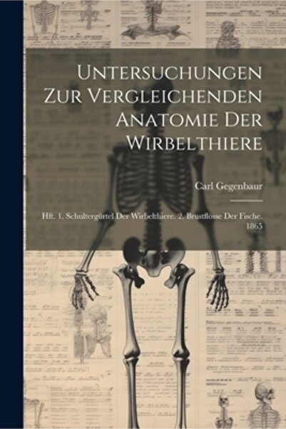 Legare Street Pr Untersuchungen Zur Vergleichenden Anatomie Der Wirbelthiere:...
