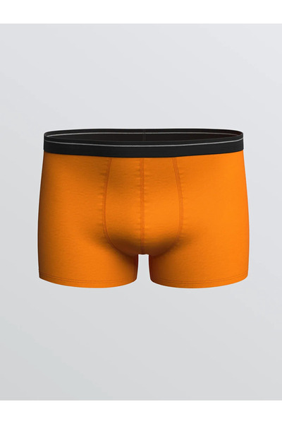 LC Waikiki Standard Mold Cotton Flexible Men's Boxers 3-Piece