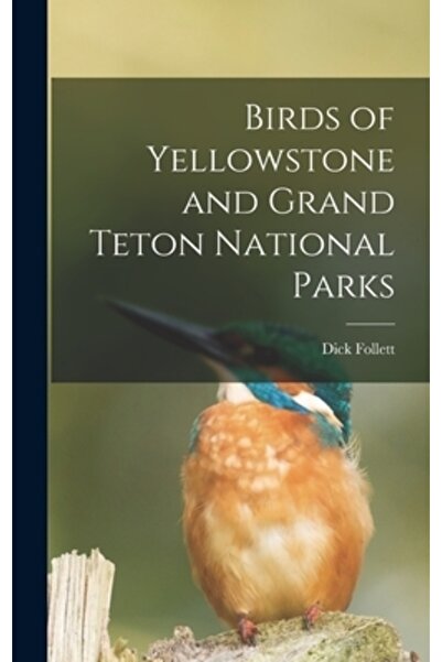 Legare Street Pr Păsările din parcurile naționale Yellowstone și Grand Teton