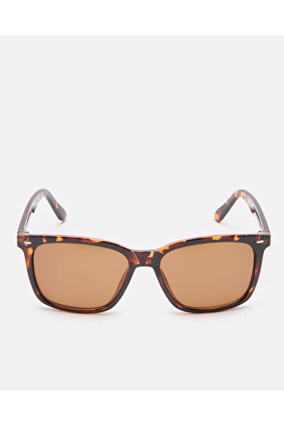 REDTAG Men Brown Wayfarer Sunglasses
