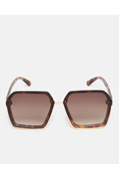 REDTAG Women Brown Oversize Sunglasses