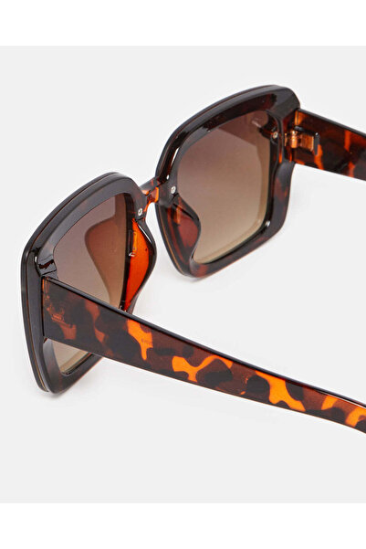 REDTAG Women Brown Oversize Sunglasses