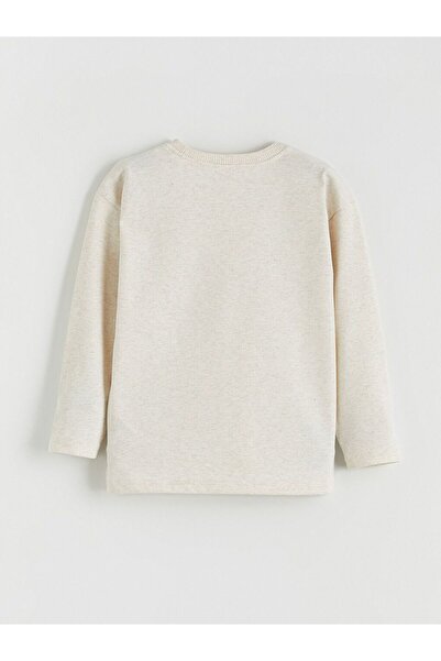 LC Waikiki Lcw Kids Printed Long Sleeve Boys T-Shirt 3-Pack