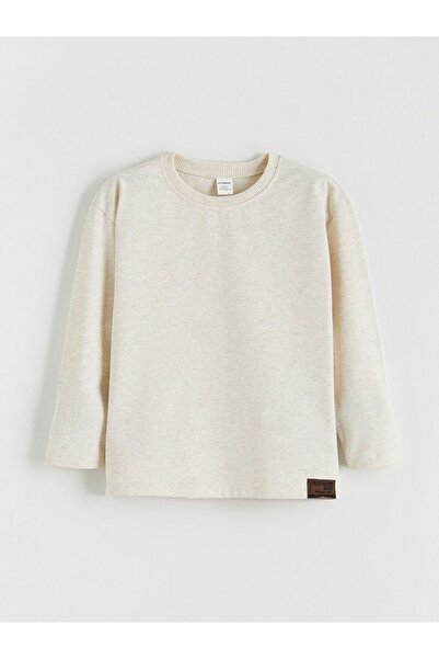 LC Waikiki Lcw Kids Printed Long Sleeve Boys T-Shirt 3-Pack