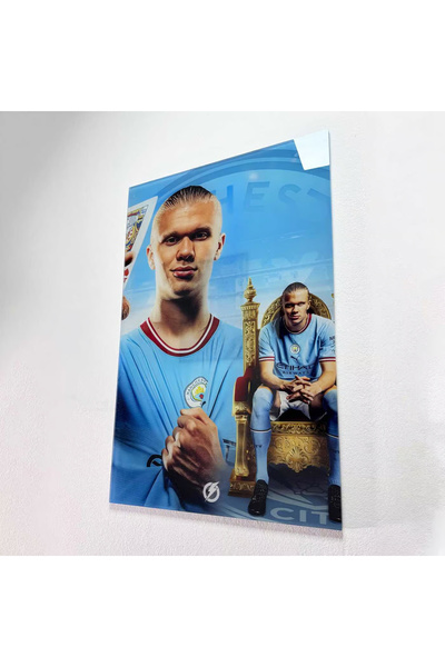 FLASHCARD Acrylic Glass Painting Citizen Haaland