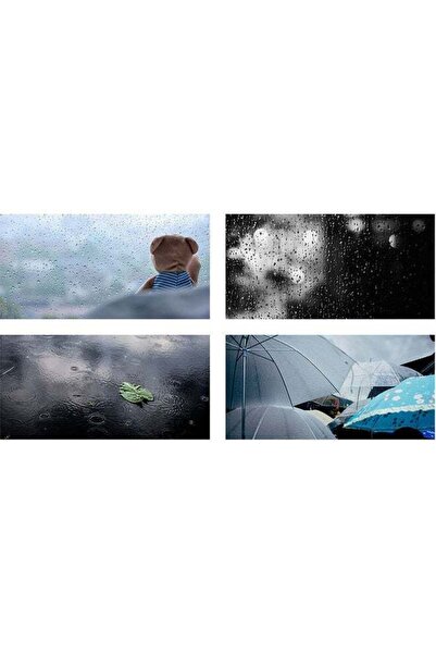 Sasb 4-piece Wall Panel Multi-Color 40 x 20 cm