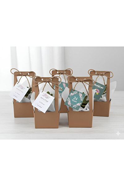 SUKULENTİSTANBUL 24 Kasım Öğretmenler Günü Kurumsal Hediyelik Sukulent -Kraft...