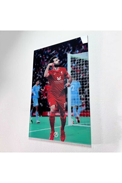 FLASHCARD Tablou Sticlă Acrilică Pharaoh Salah