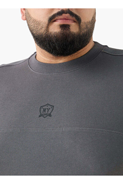 FAV Plus Size Panelled T-shirt with Crew Neck