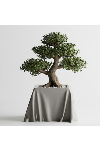 OEM Ghiveci decorativ Draped Square – Culoare Silver Gray