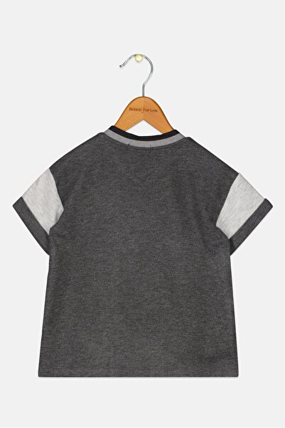 Choupette Kids Boy Graphic Print Short Sleeve T-shirt, Charcoal Grey