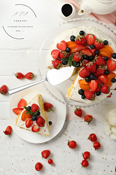 FORSEİ LUCA Practical 21 cm Stainless Steel Luxury Serving Spoon Cake Presentation Spatula 1 Piece