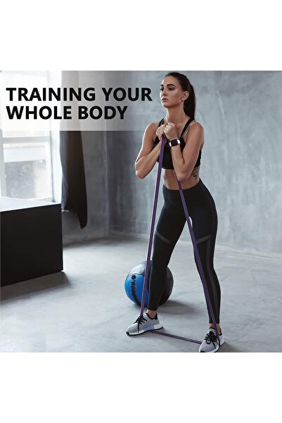 PROIRON Resistance Band Pull Up Assist Band Heavy Duty Powerlifting Exercise Stretch Bands