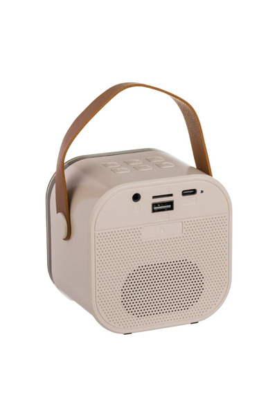 OEM Karaoke Speaker with RGB Light and 2 Wireless Microphones