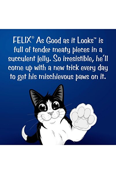 Felix Wet Adult Cat Food - Tuna (12 x 85 g)