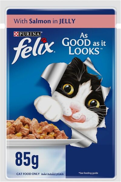 Felix Purina Adult Wet Cat Food Salmon (12 × 85 g)
