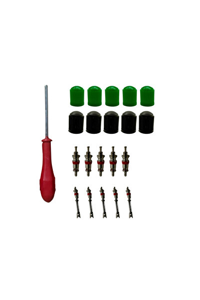 JuneThree Sibop Tamir ve Bakım Seti - 5 Kısa + 5 Uzun Sibop İğnesi - Sibop Tornavidası - Siyah ve Yeşil Kapak