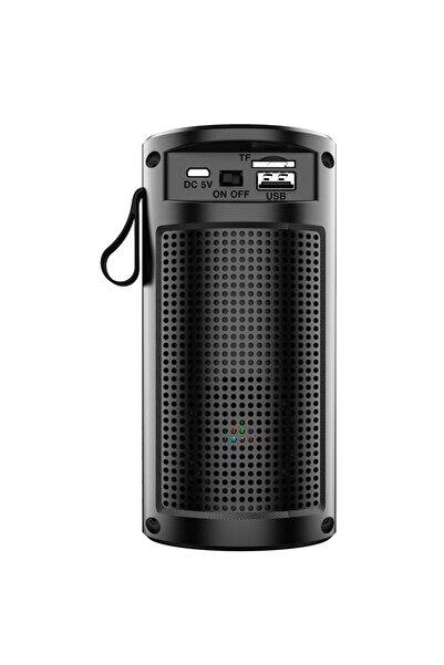 OEM Portable speaker 1201 with RGB LEDs, Bluetooth, USB, FM radio
