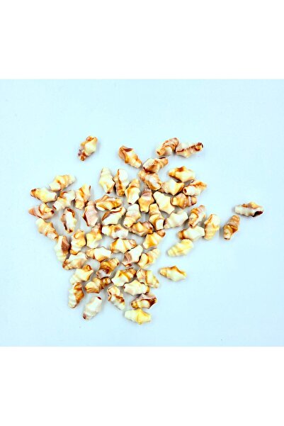 yiğit aksesuar 20 Adet Kahve Krem Kolye Bileklik aksesuarı Havlit Deniz kabuğ...