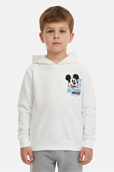 Disney Toddlers Boy Long Sleeve Mickey And Friends Hoodie, White